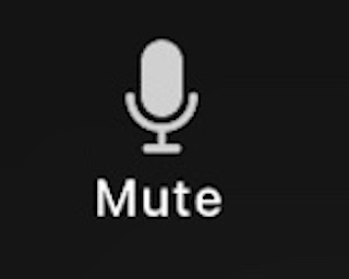 Mute/unmute microphone